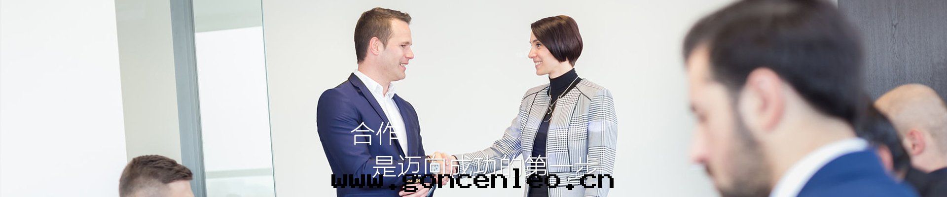 成(chéng)功案(àn)例 成(chéng)功案(àn)例